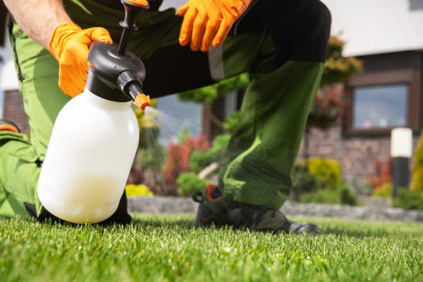 Best Wasp Removal Services  in Eaton, IN