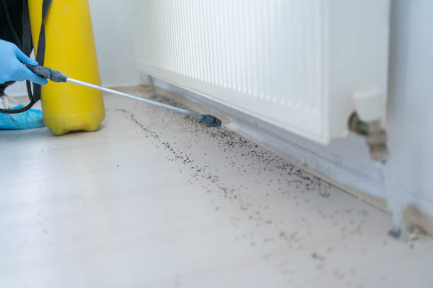 Best Affordable Pest Control Services  in Eaton, IN